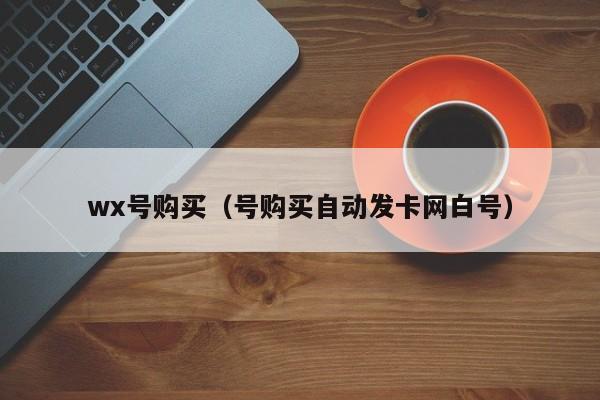 wx号购买（号购买自动发卡网白号）