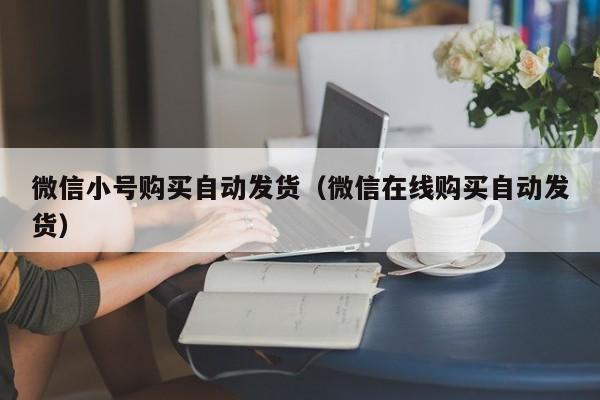 微信小号购买自动发货（微信在线购买自动发货）