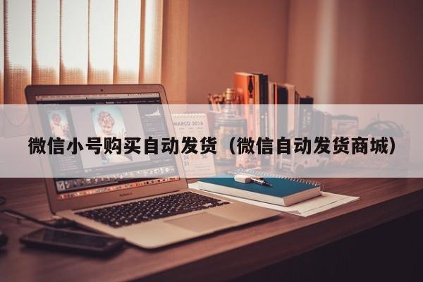 微信小号购买自动发货（微信自动发货商城）