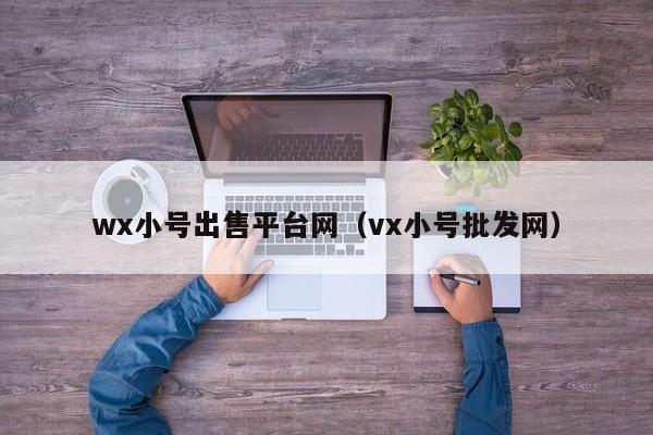 wx小号出售平台网（vx小号批发网）